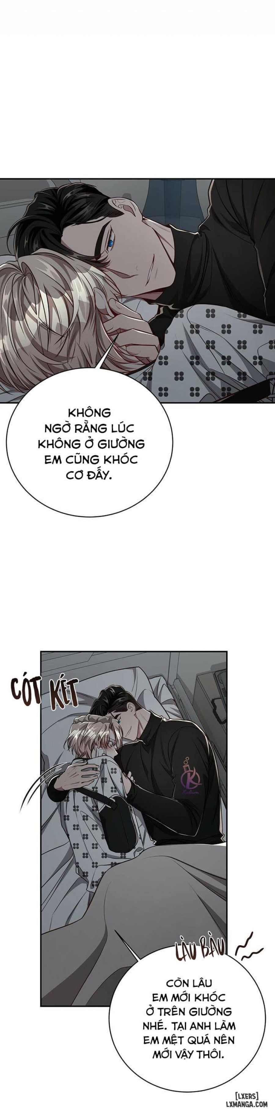 Quả táo lớn 