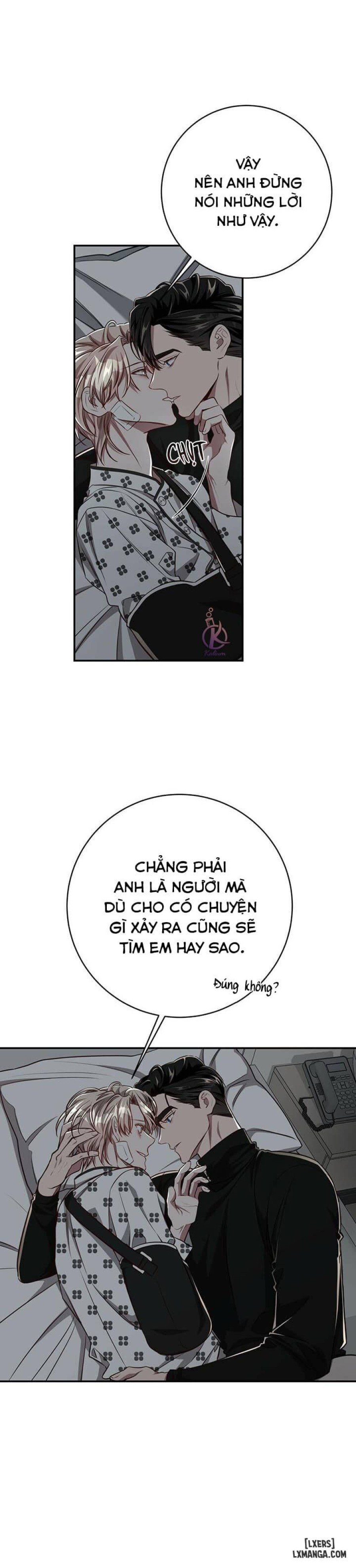 Quả táo lớn 