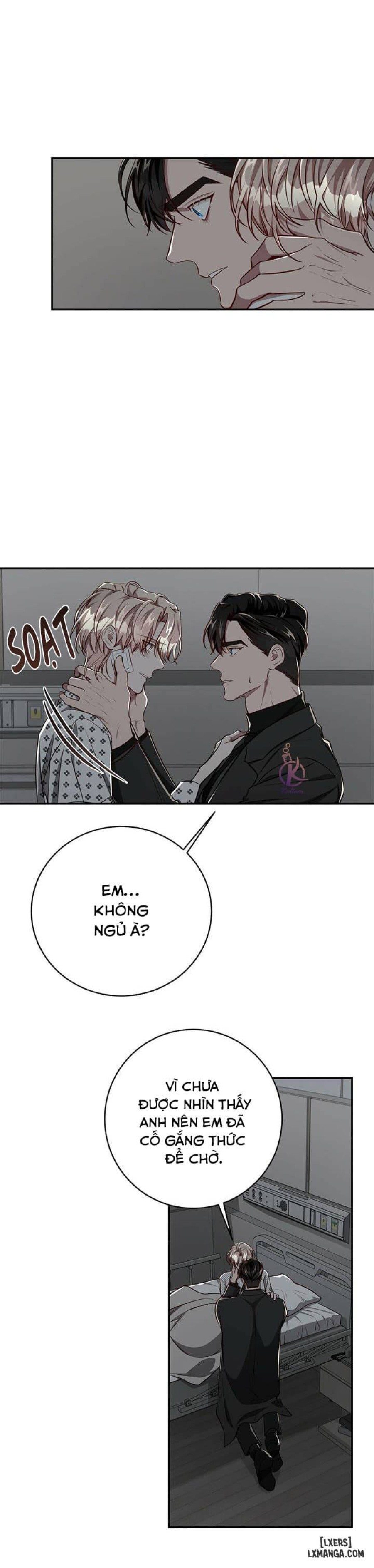 Quả táo lớn 