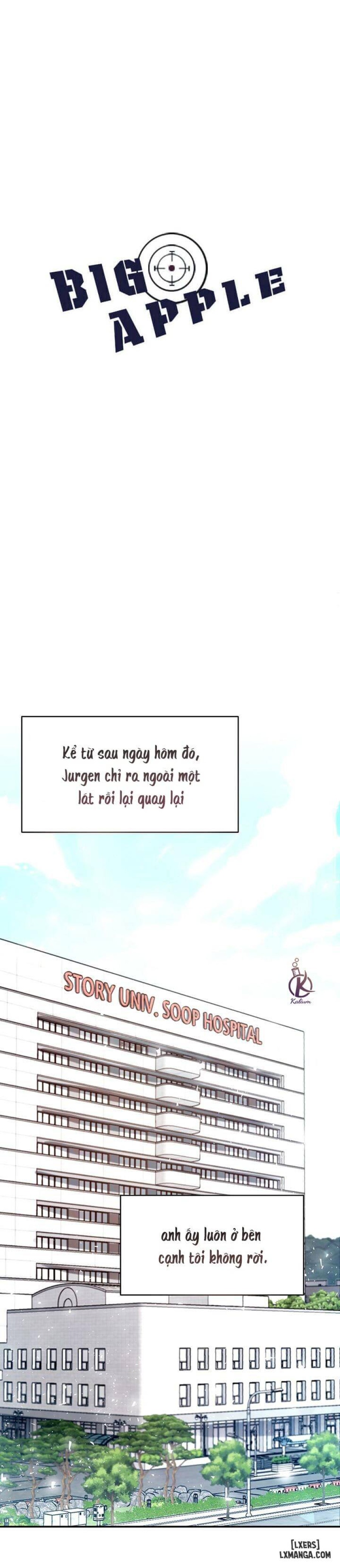 Quả táo lớn 