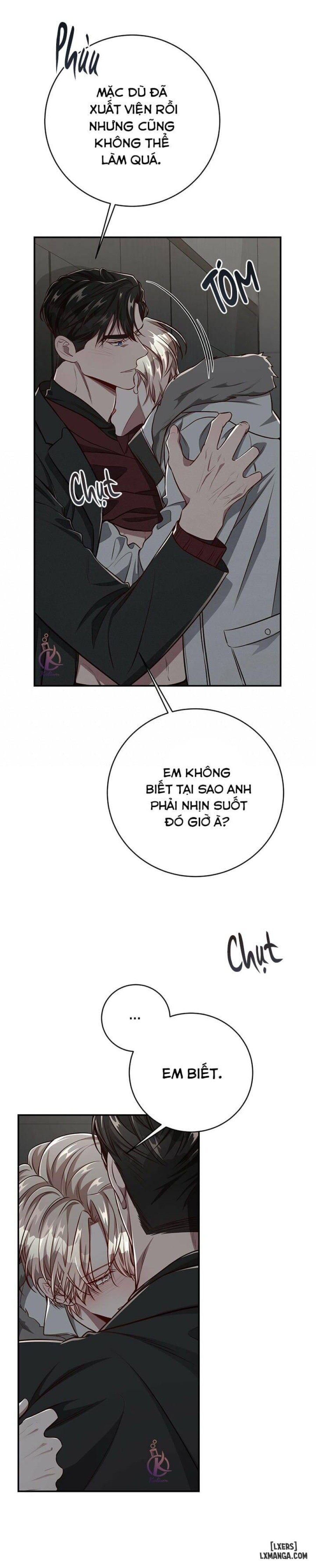 Quả táo lớn 