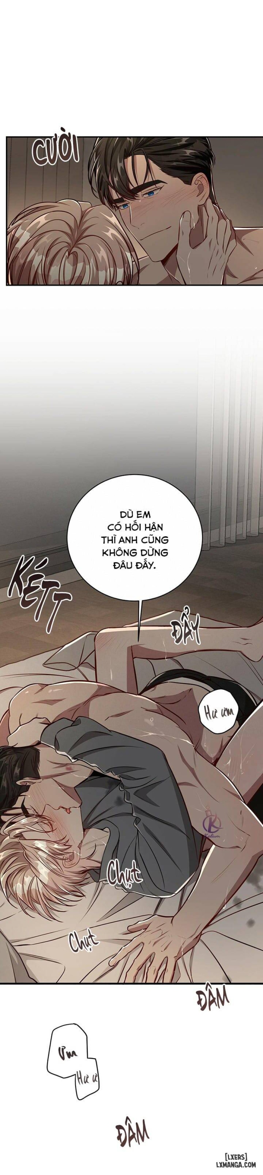 Quả táo lớn 