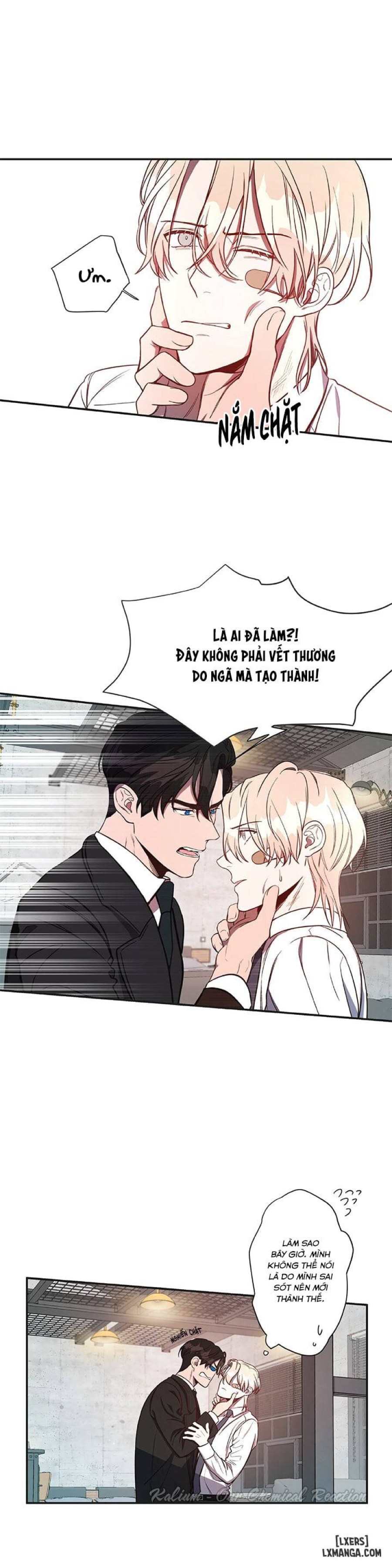 Quả táo lớn 
