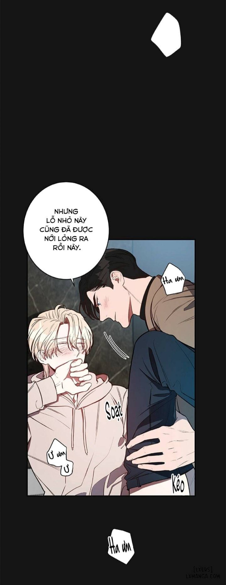 Quả táo lớn 