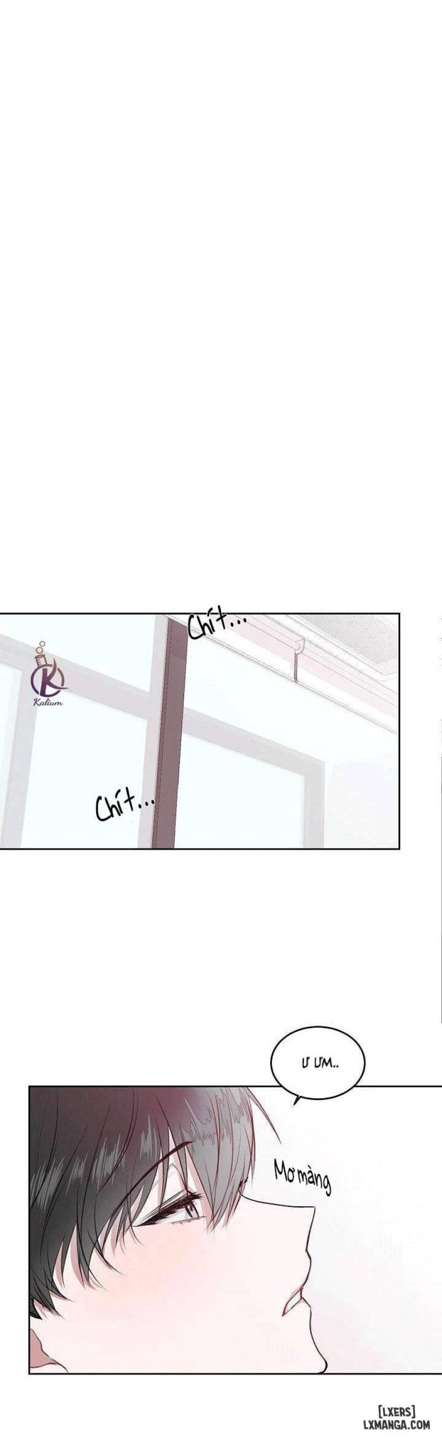 Tiền bối, đừng khóc mà! 