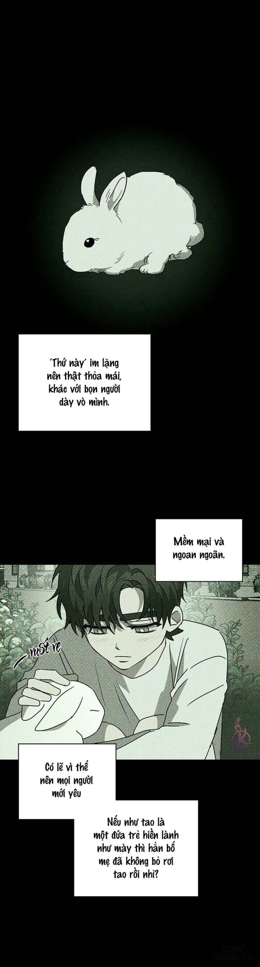 Under the Greenlight - Tận cùng hi vọng 