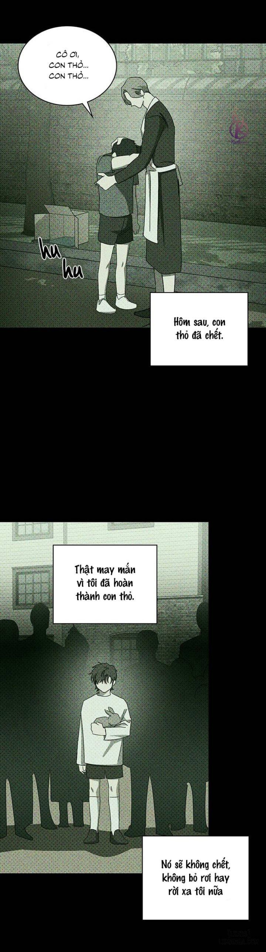 Under the Greenlight - Tận cùng hi vọng 
