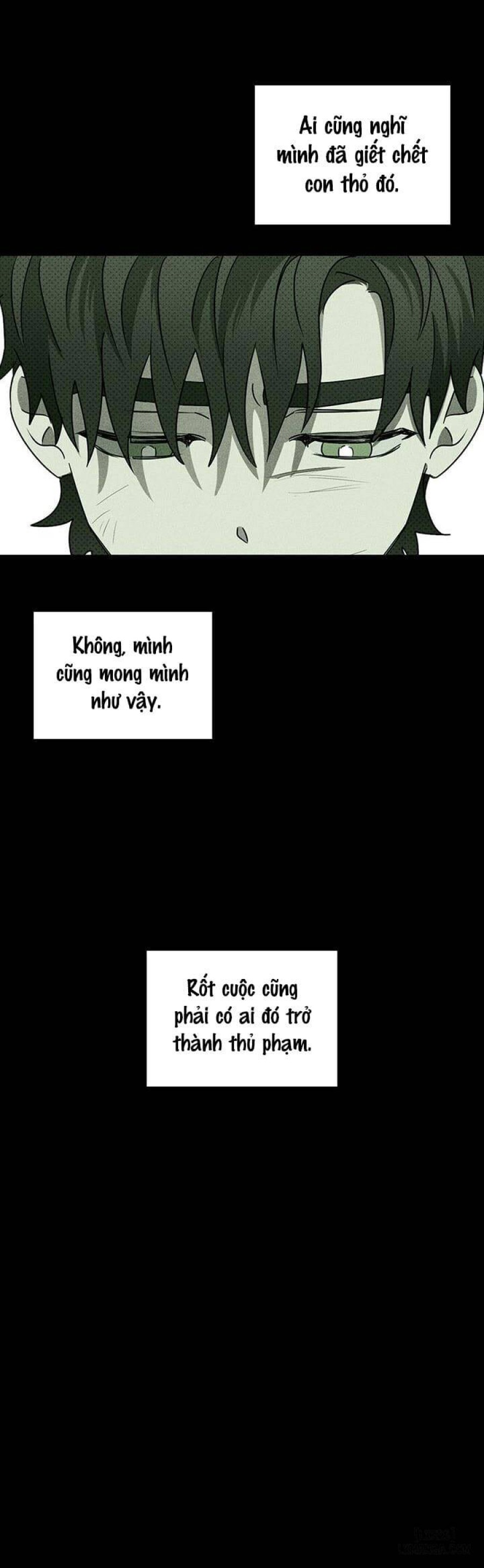 Under the Greenlight - Tận cùng hi vọng 