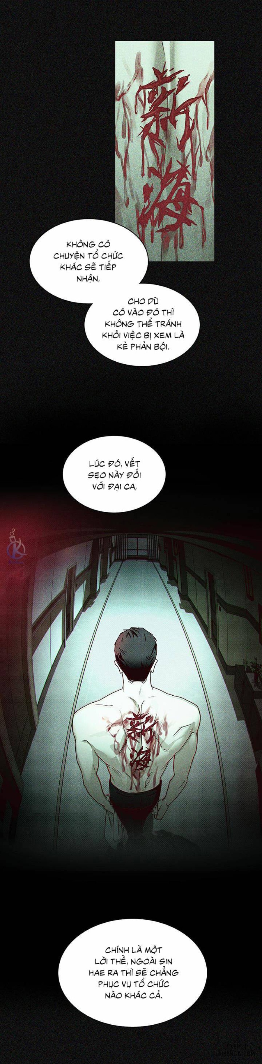 Under the Greenlight - Tận cùng hi vọng 