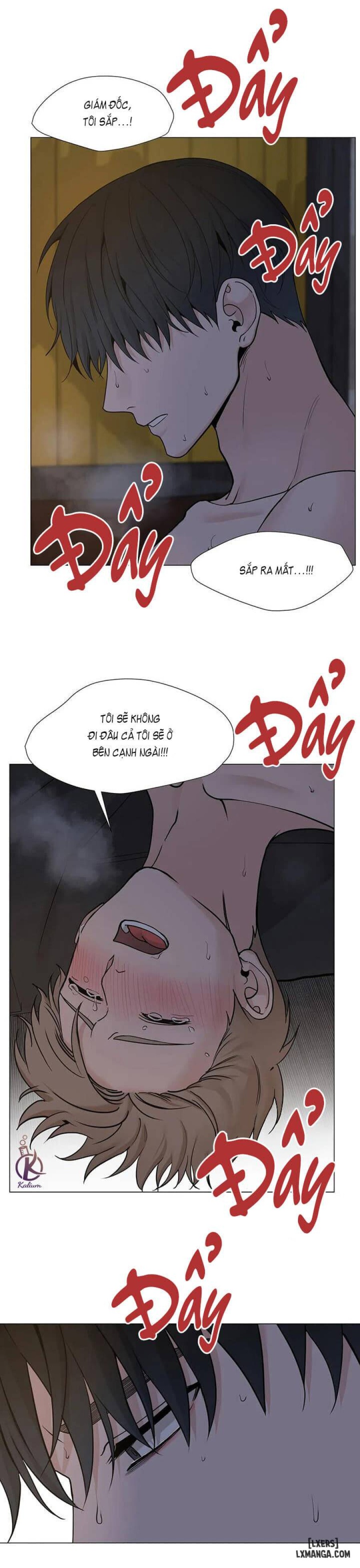 Suha của tôi 