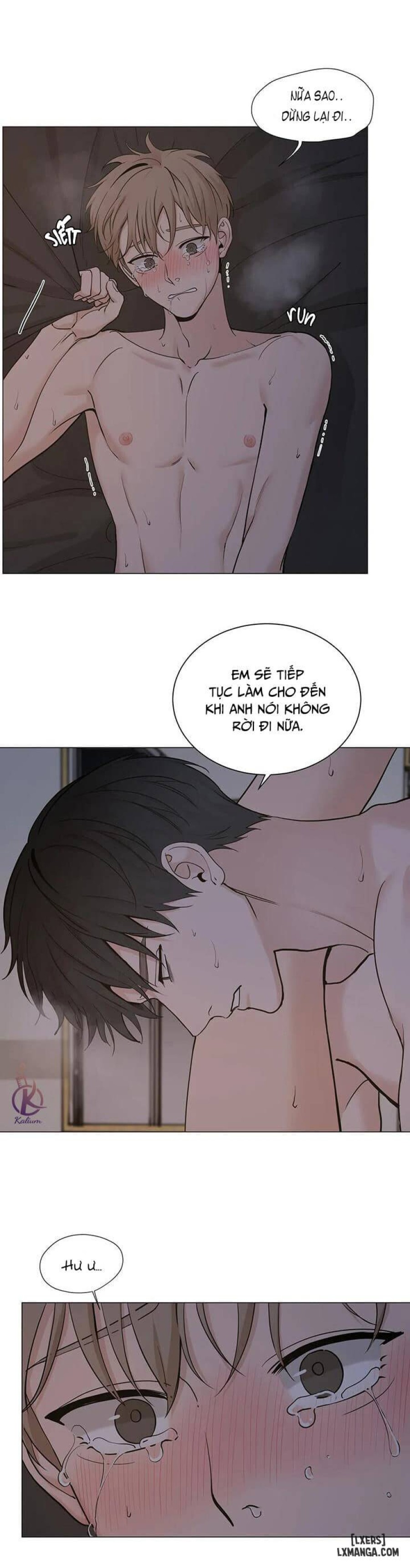 Suha của tôi 