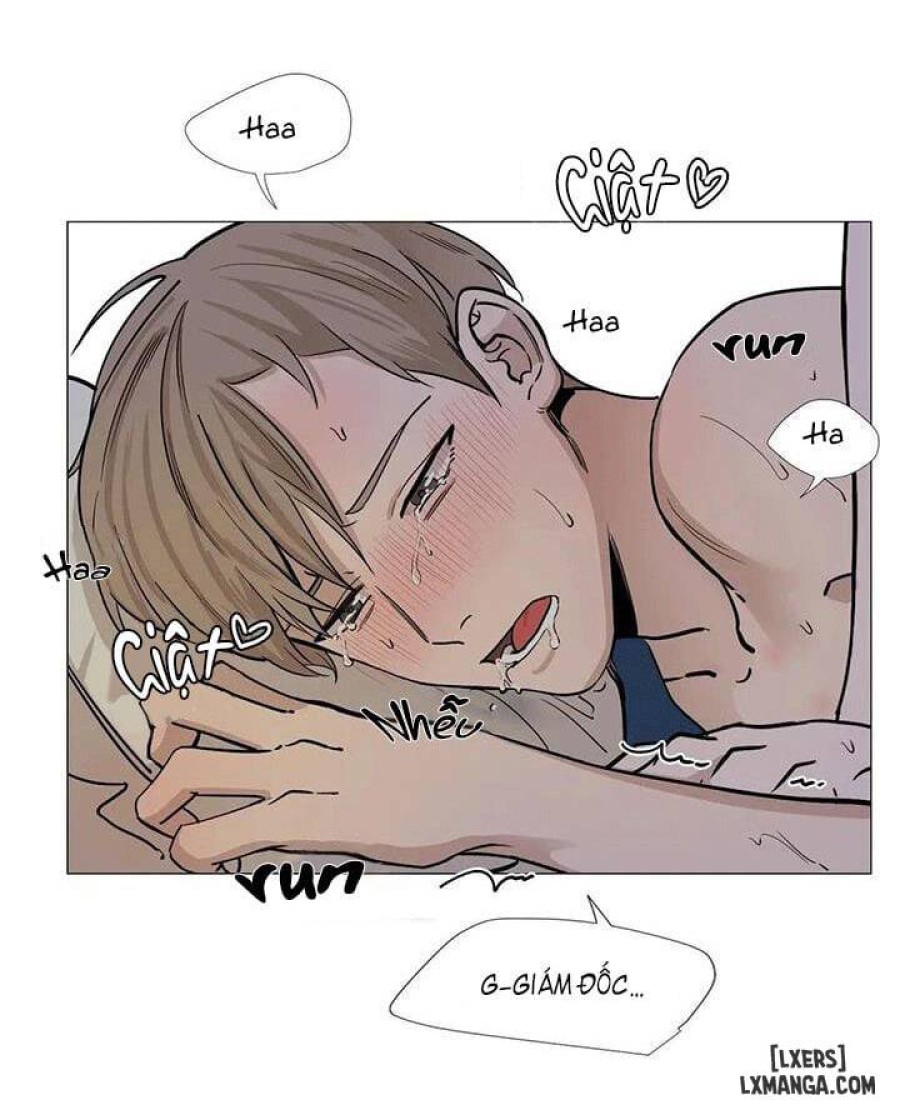 Suha của tôi 