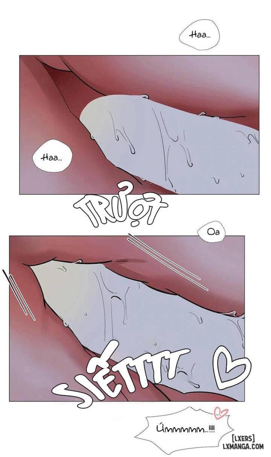 Suha của tôi 