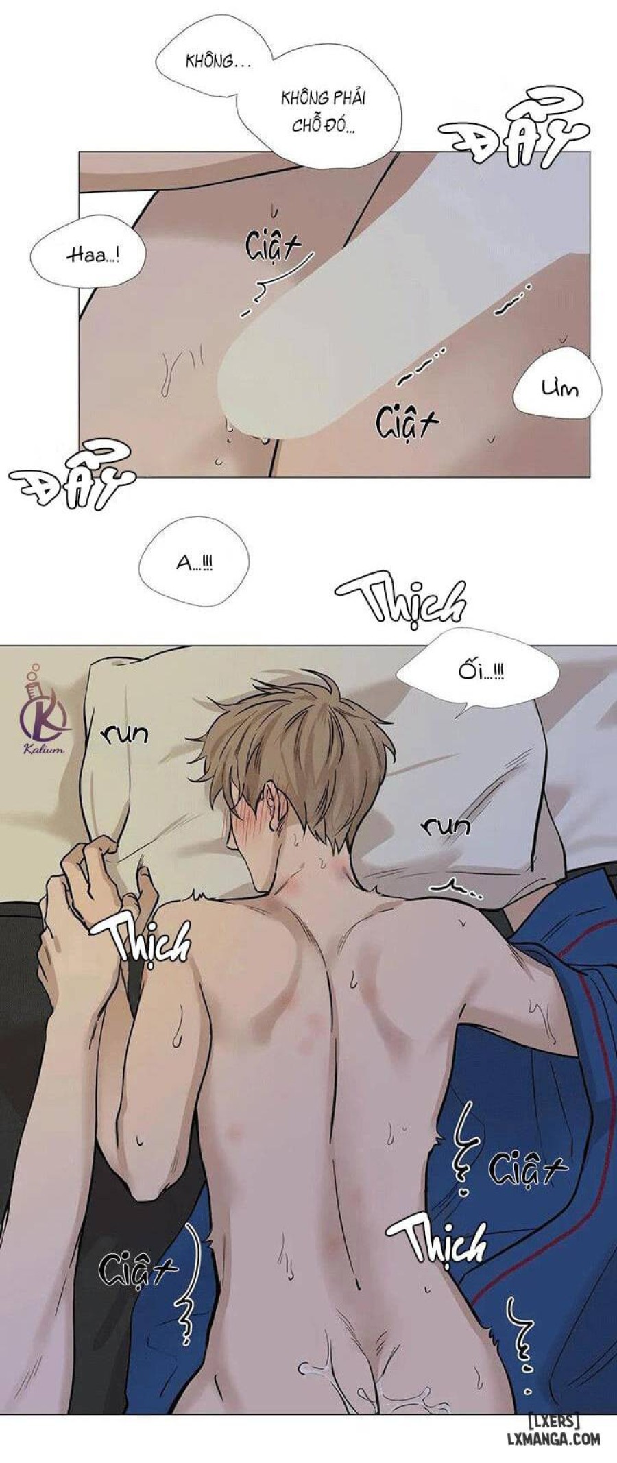 Suha của tôi 