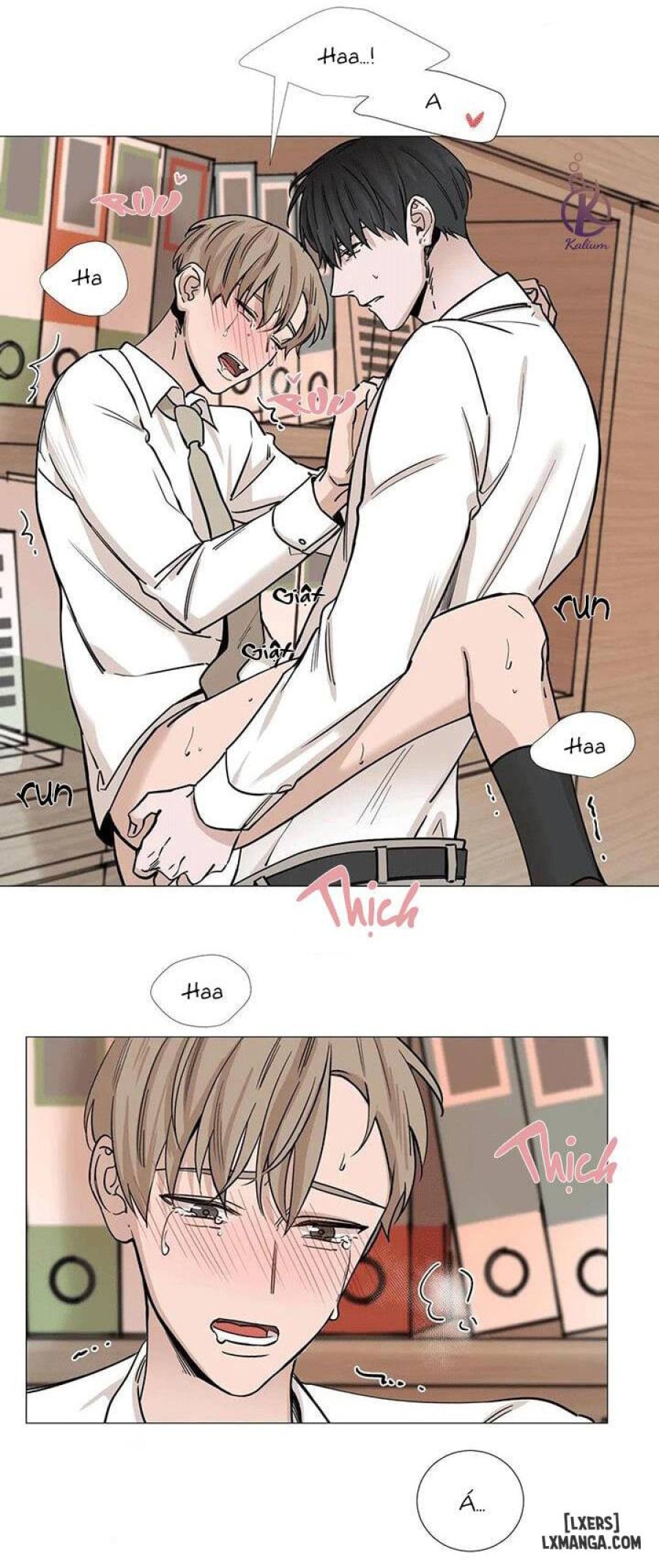 Suha của tôi 