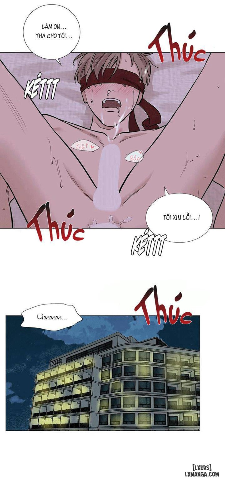 Suha của tôi 