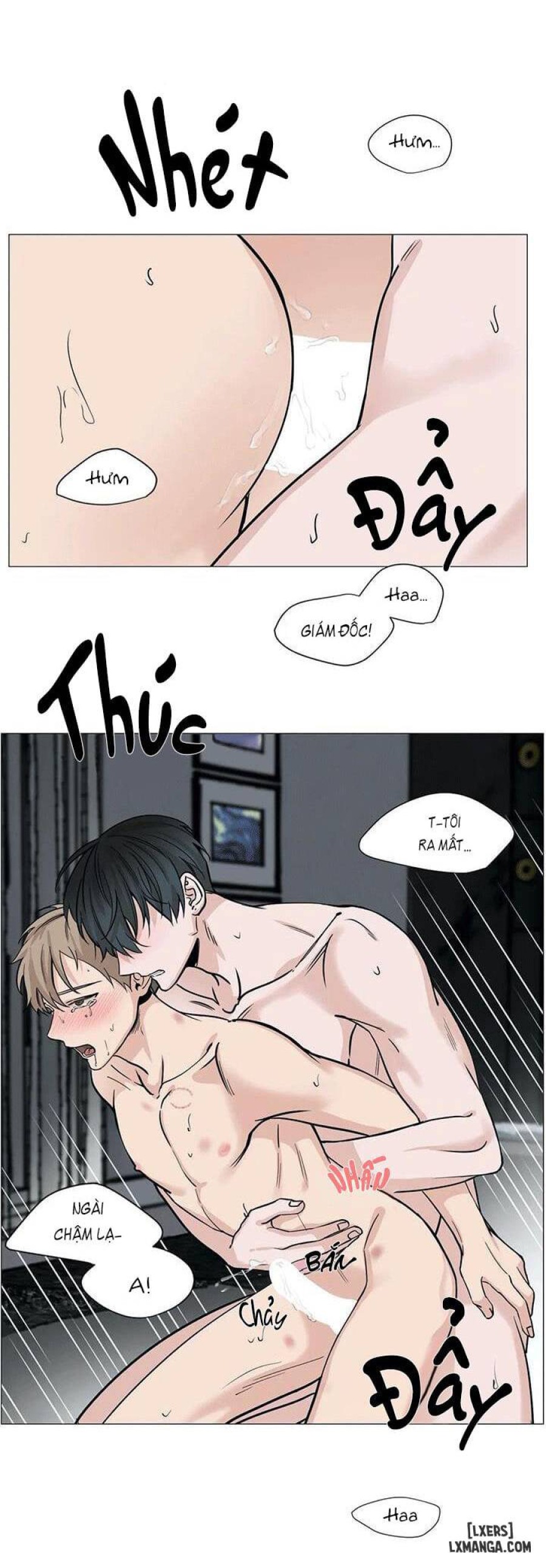 Suha của tôi 