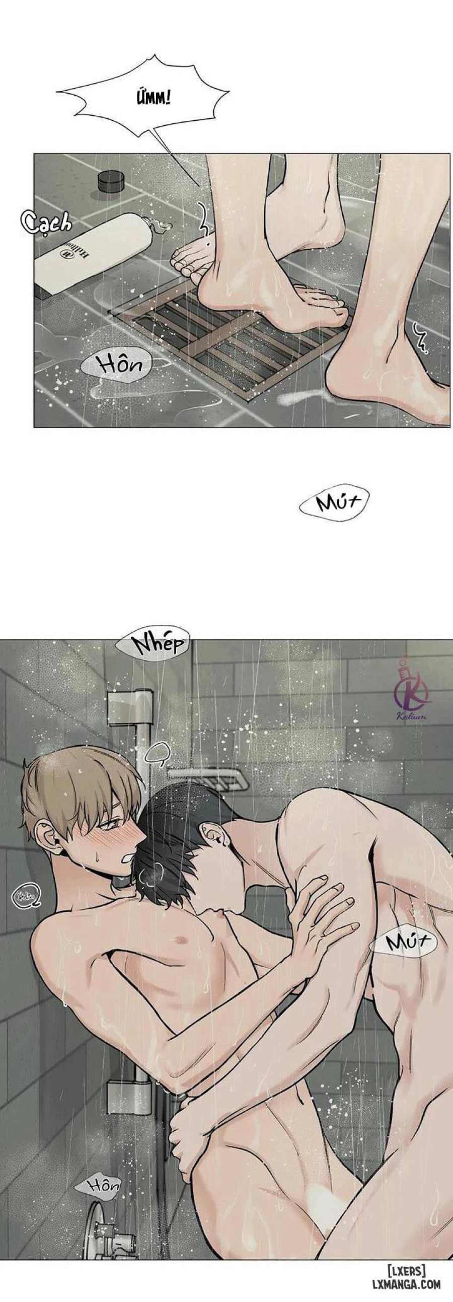 Suha của tôi 