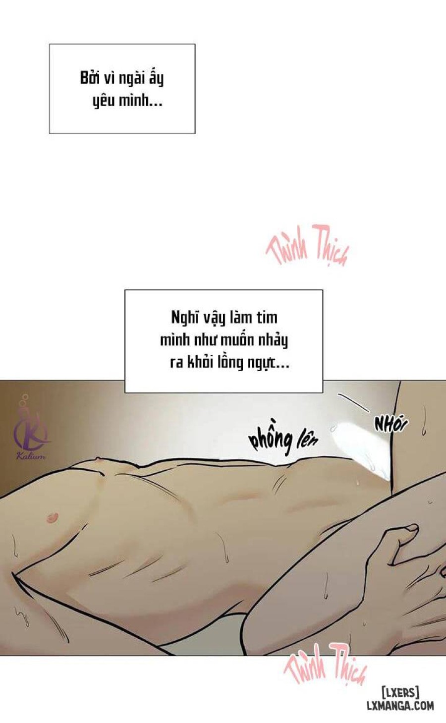 Suha của tôi 