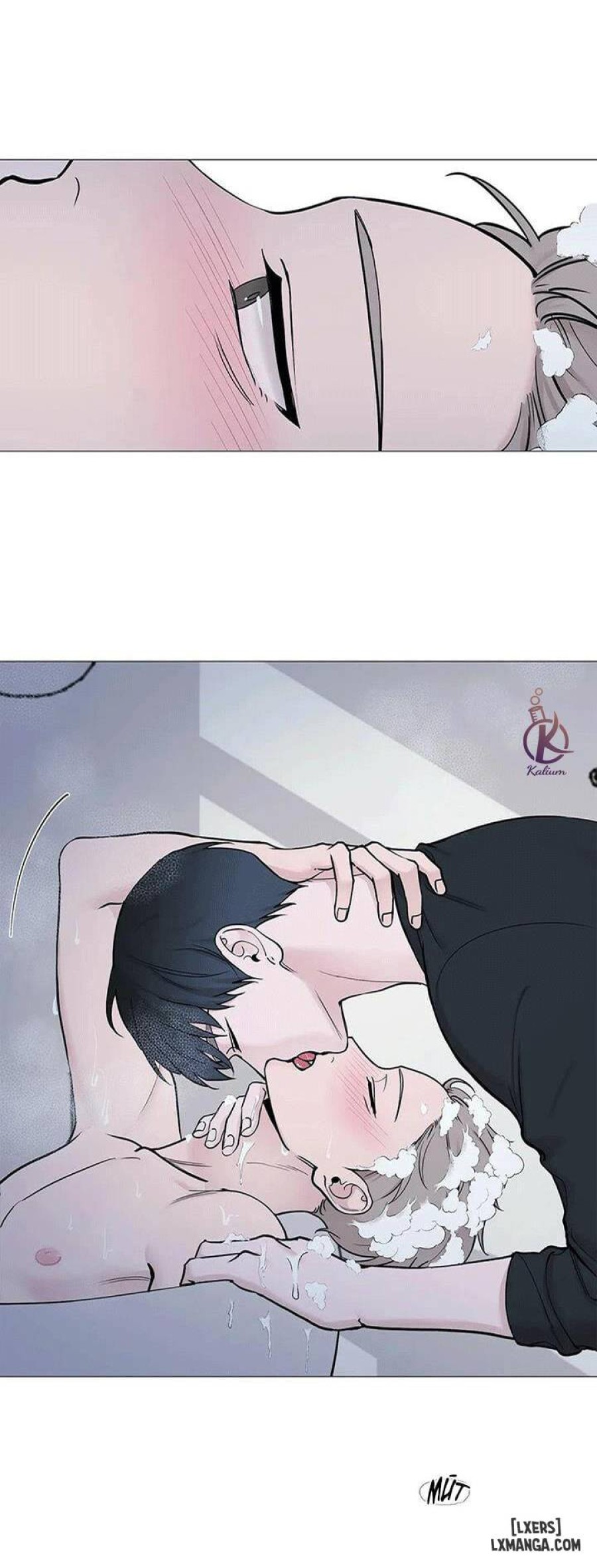 Suha của tôi 