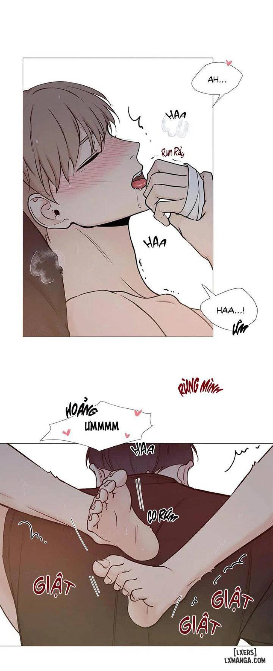 Suha của tôi 