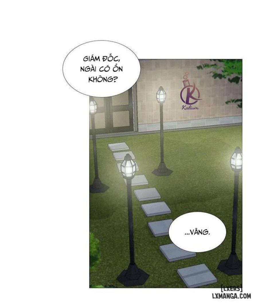 Suha của tôi 
