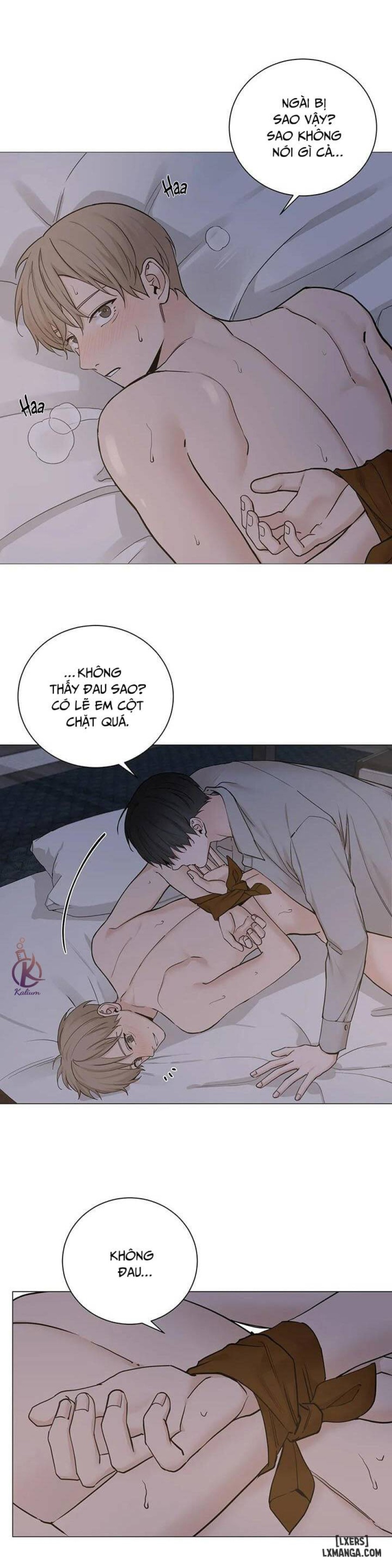 Suha của tôi 