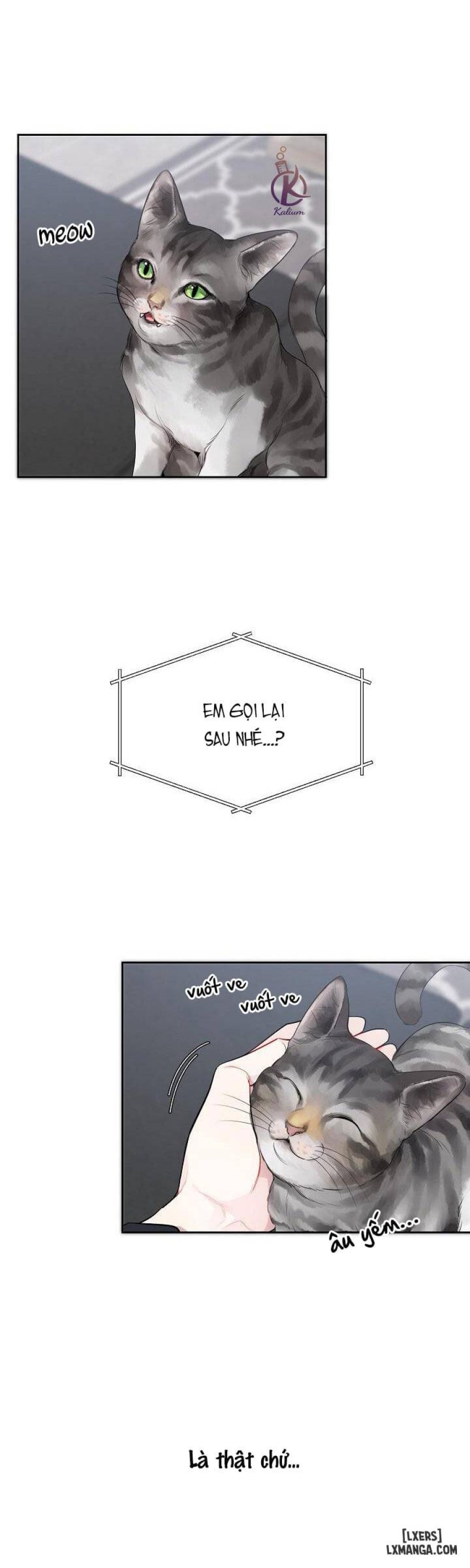 Quỹ đạo của vì sao 