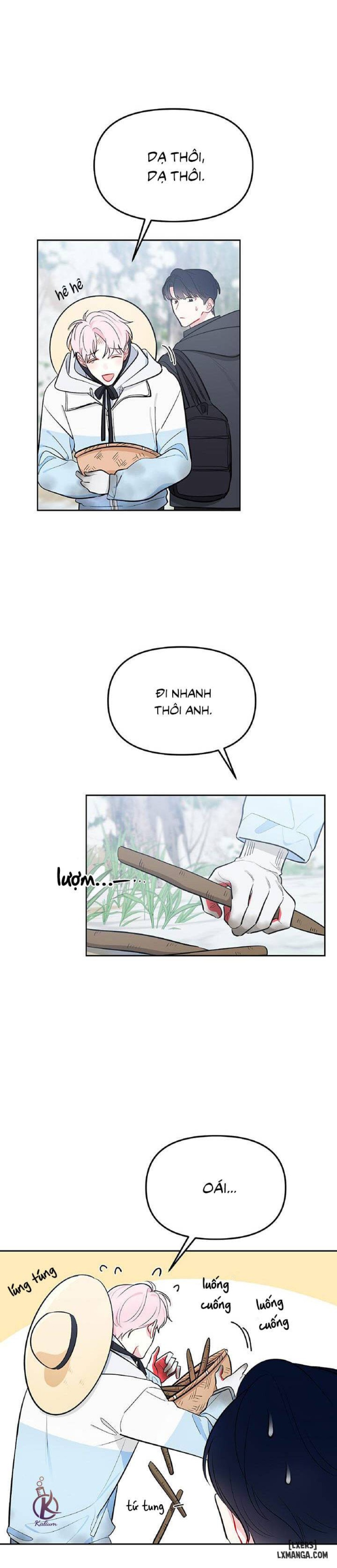 Quỹ đạo của vì sao 