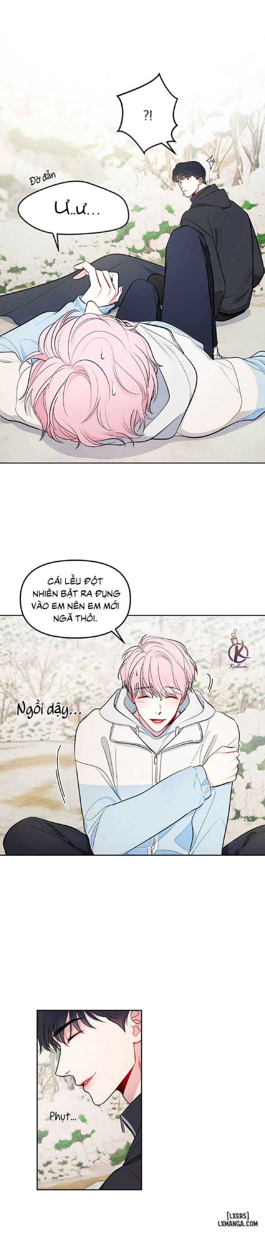 Quỹ đạo của vì sao 