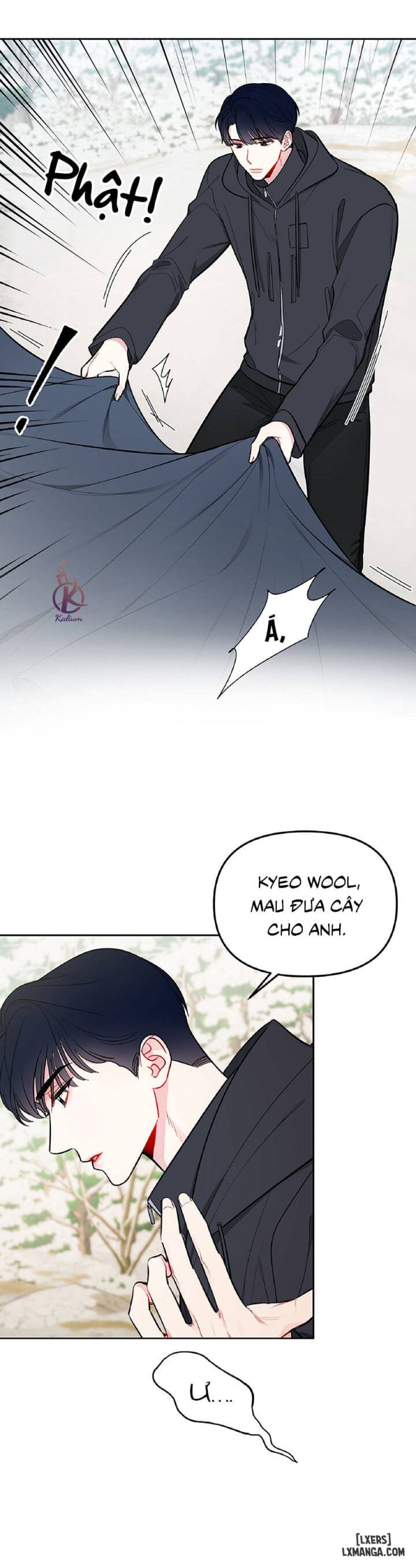 Quỹ đạo của vì sao 