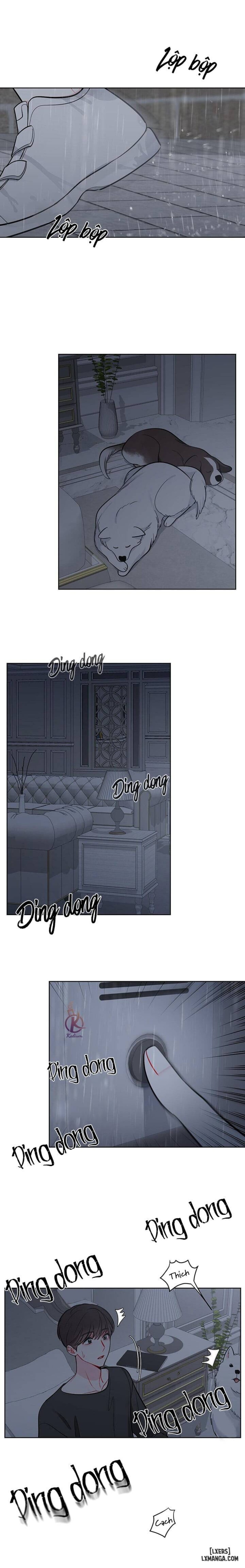 Quỹ đạo của vì sao 