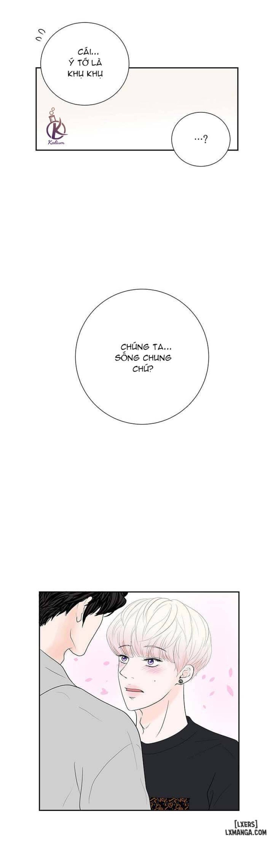 Tò mò về Review ư? 