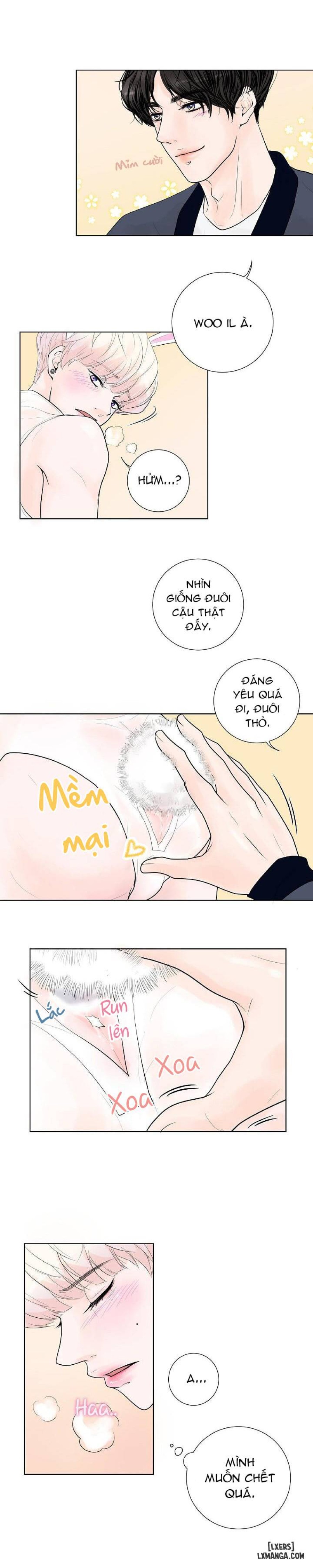Tò mò về Review ư? 