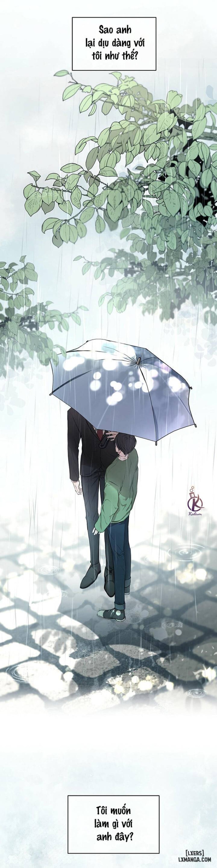 Hình thái khởi sinh 