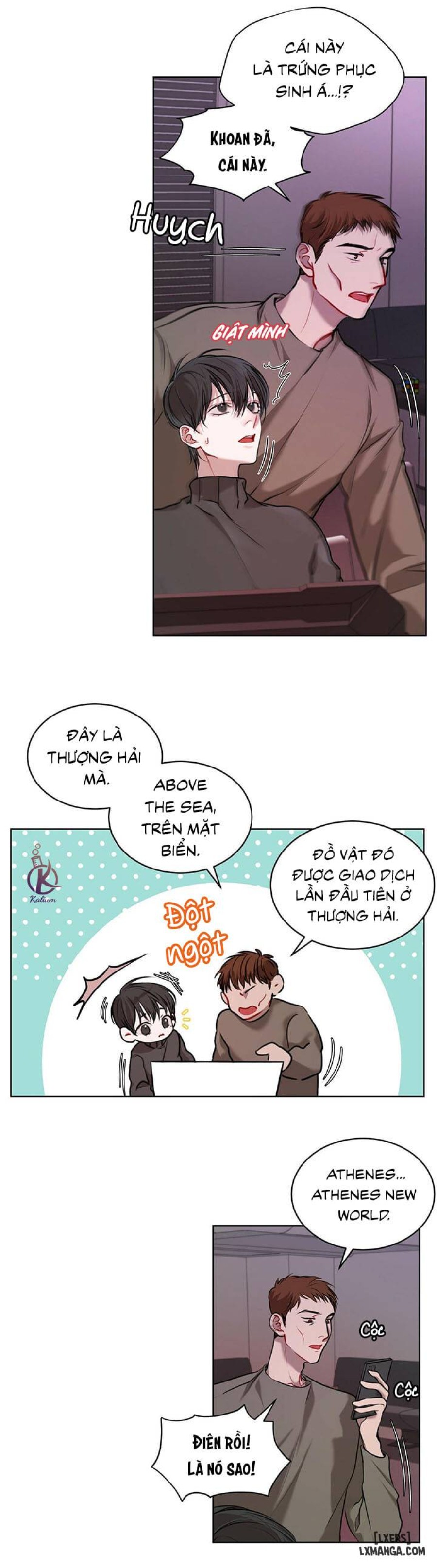 Hình thái khởi sinh 