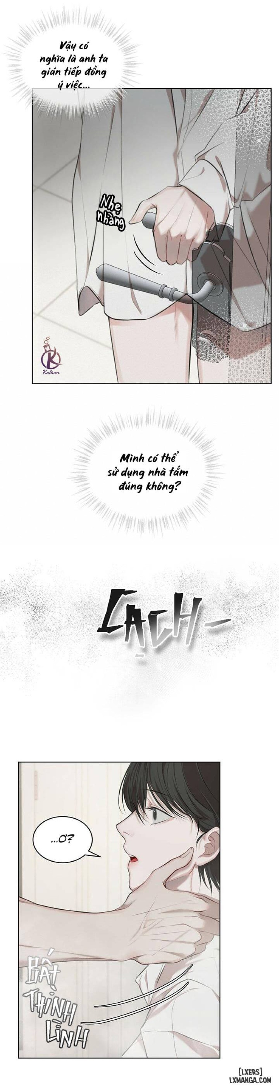 Hình thái khởi sinh 