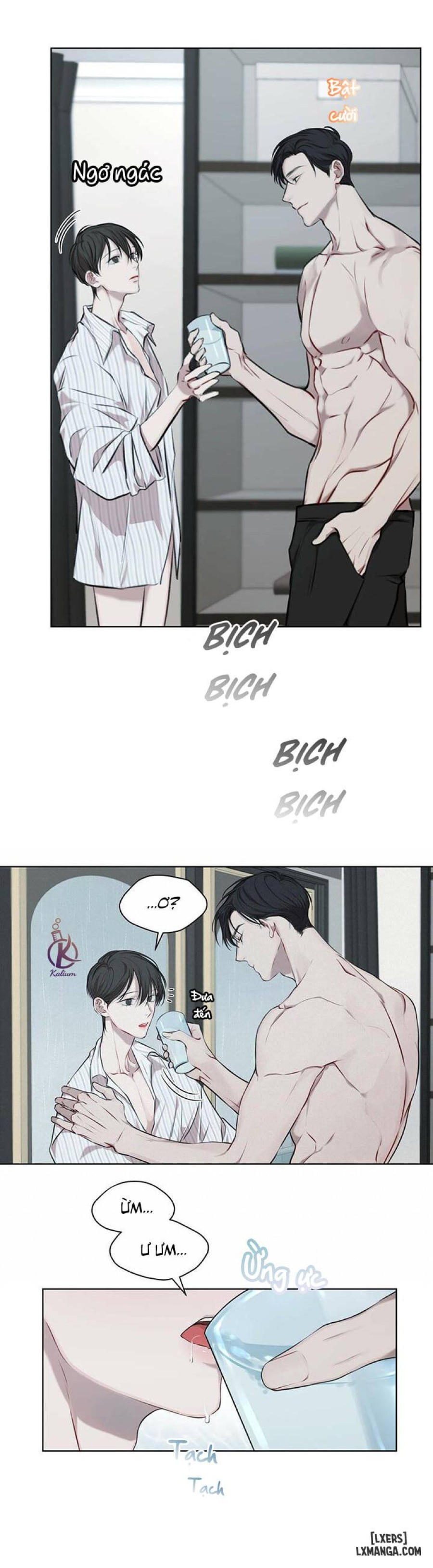 Hình thái khởi sinh 