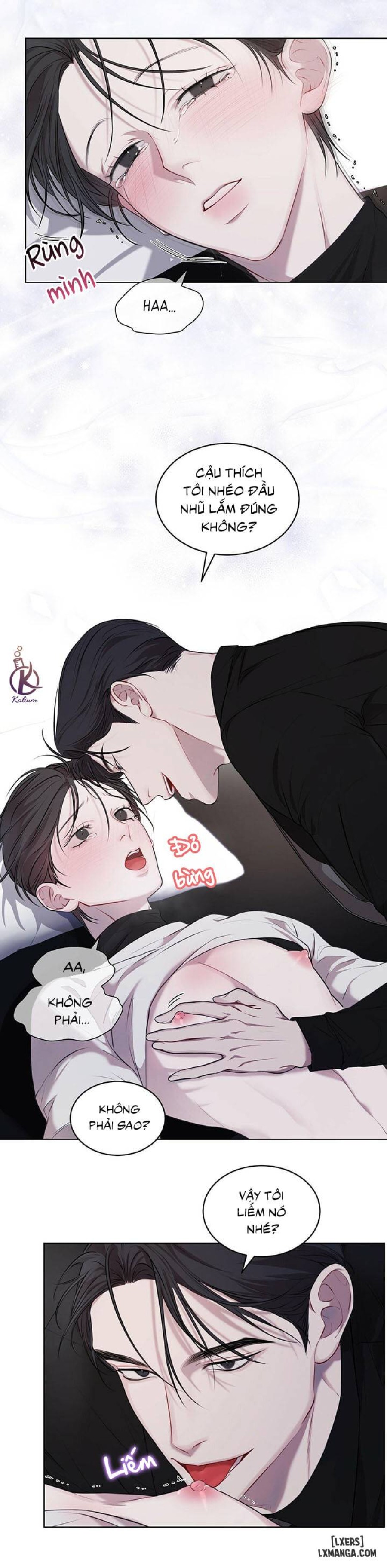 Hình thái khởi sinh 