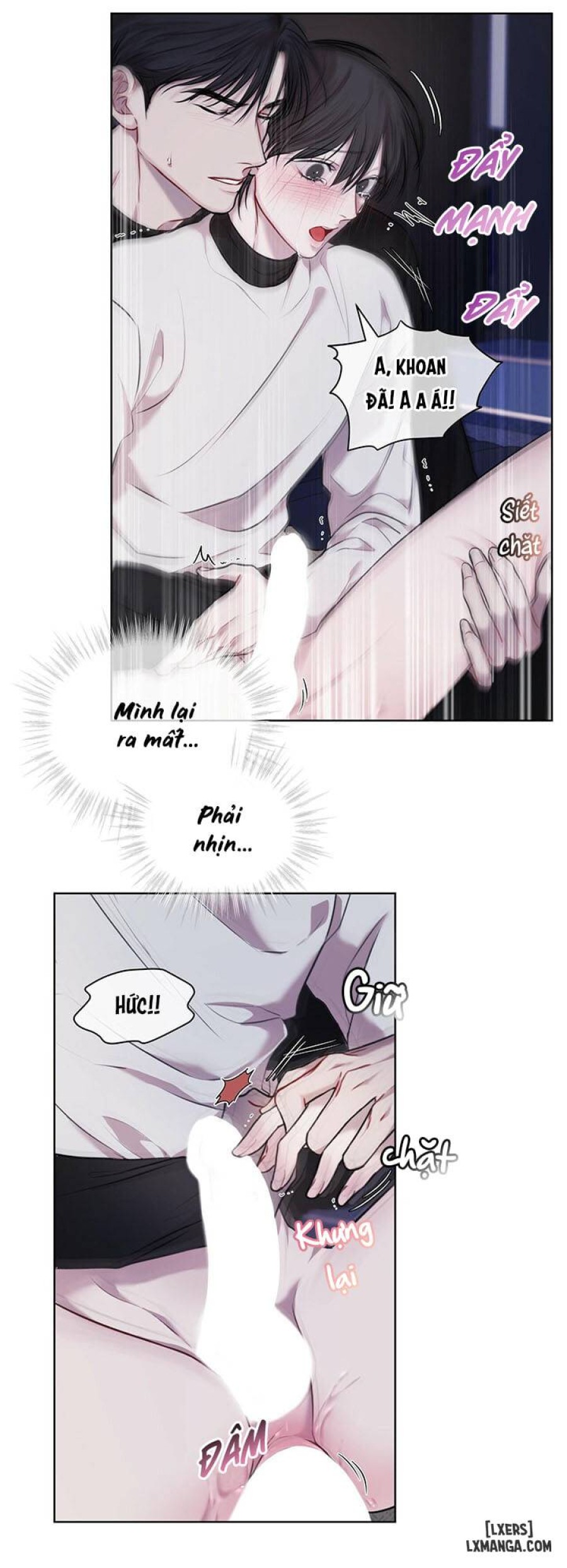Hình thái khởi sinh 