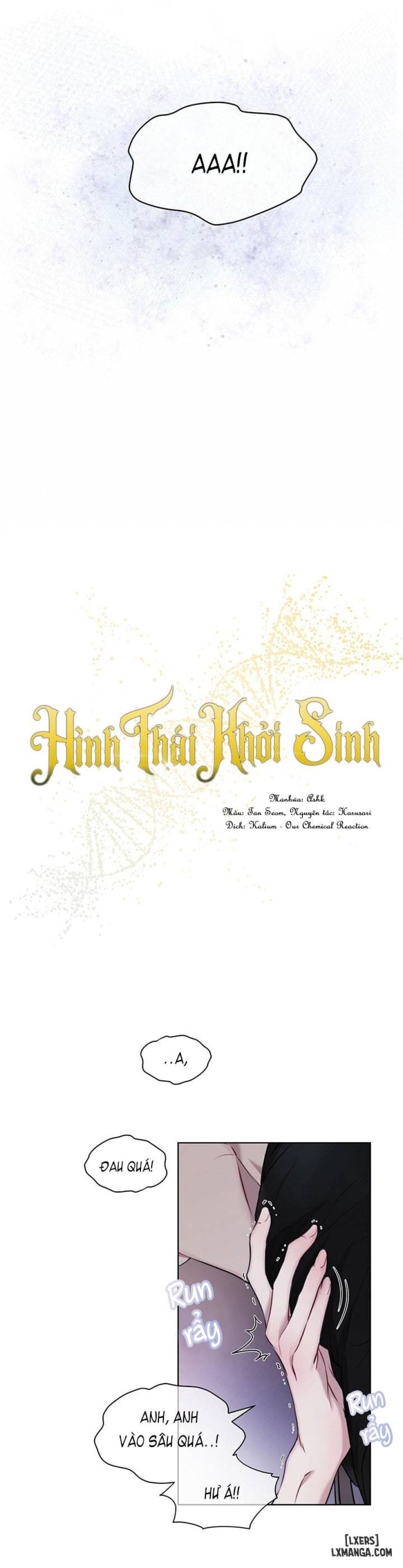 Hình thái khởi sinh 