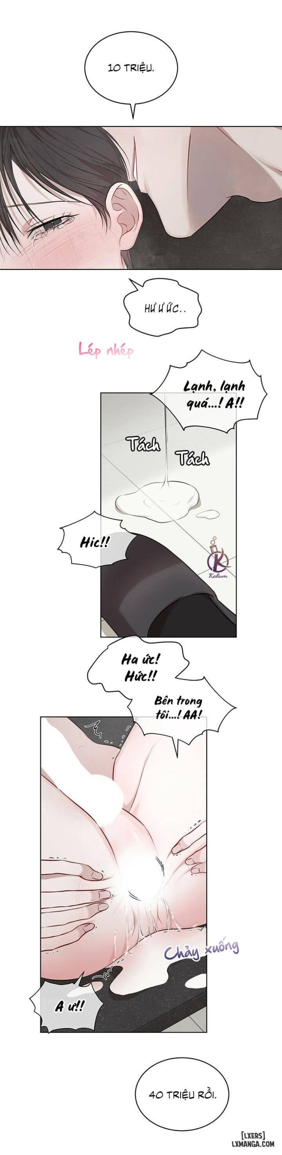 Hình thái khởi sinh 