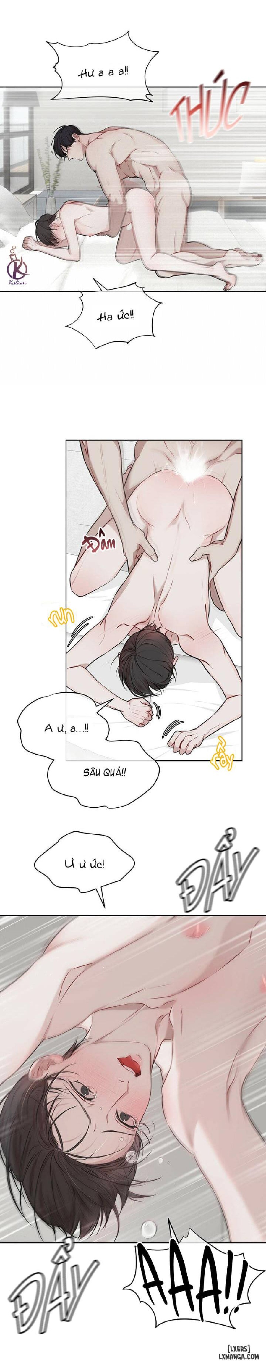 Hình thái khởi sinh 