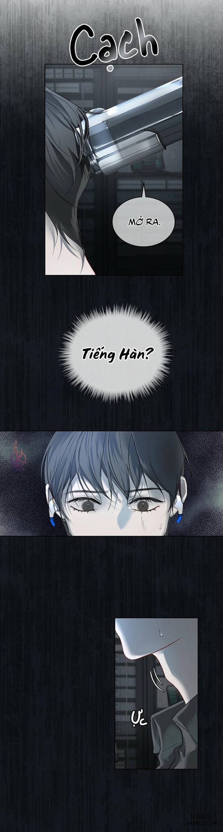 Hình thái khởi sinh 
