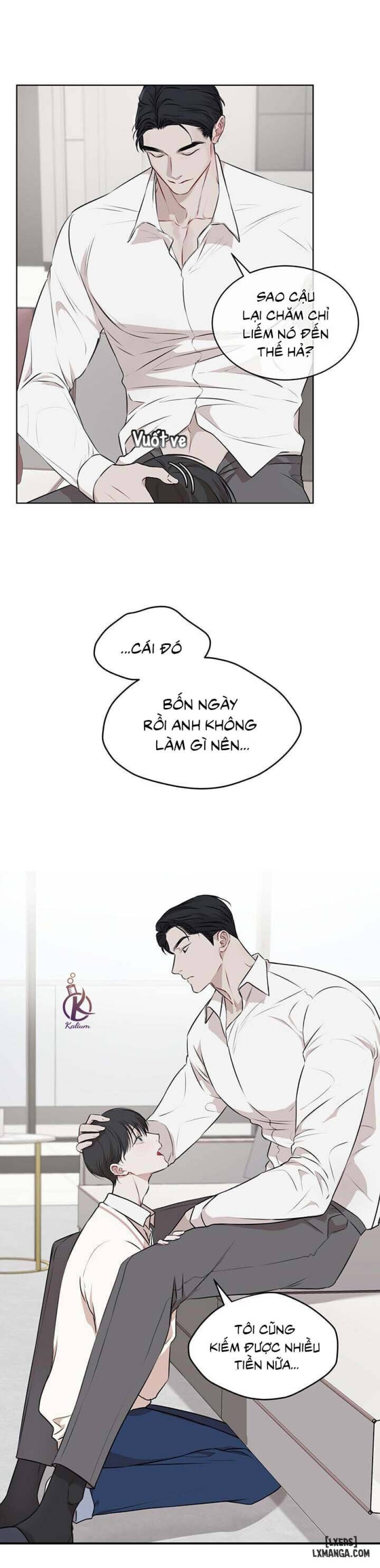 Hình thái khởi sinh 