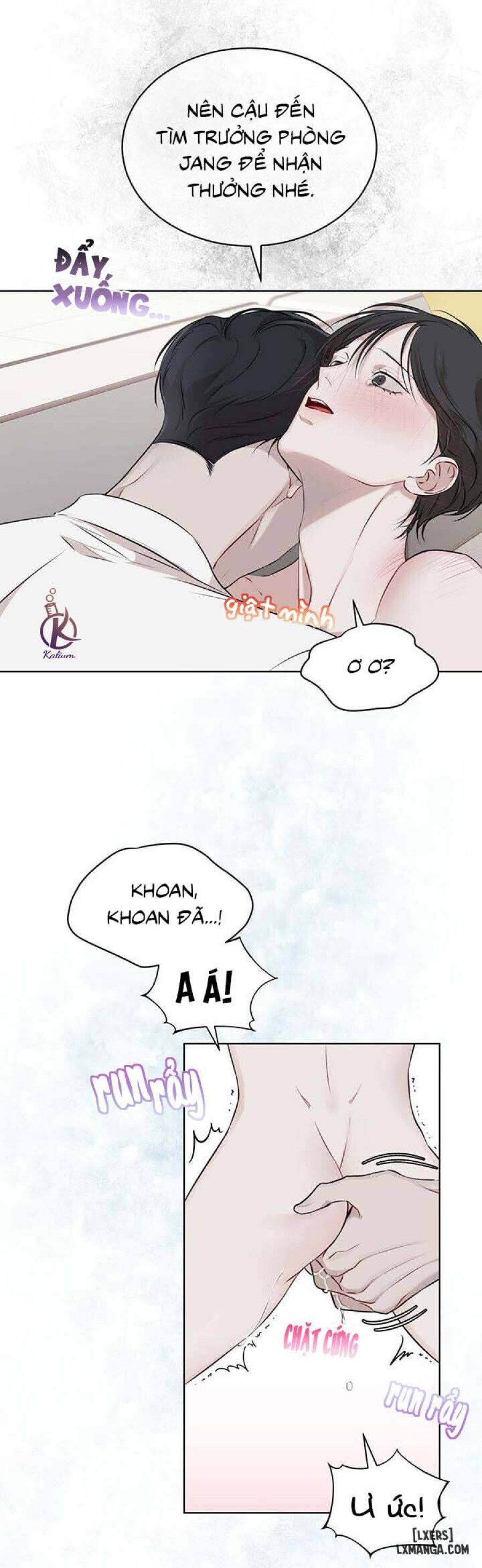 Hình thái khởi sinh 