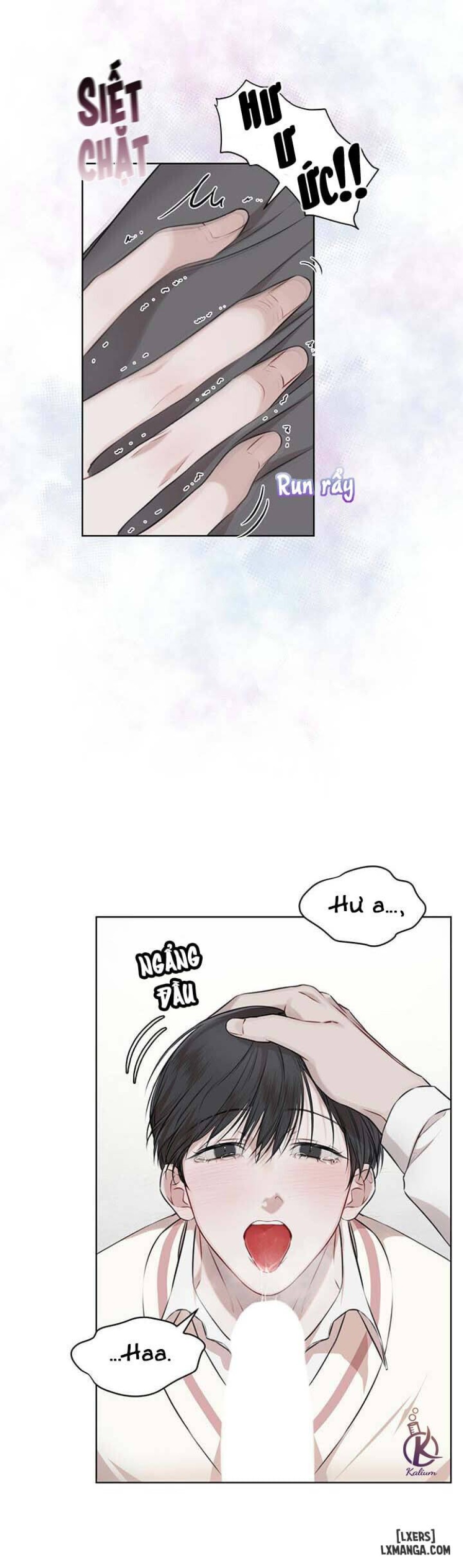 Hình thái khởi sinh 