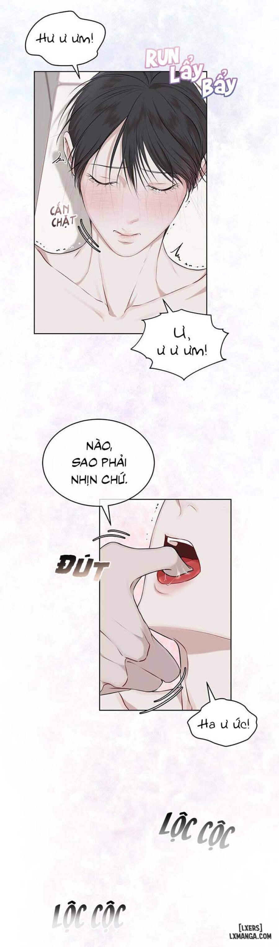 Hình thái khởi sinh 