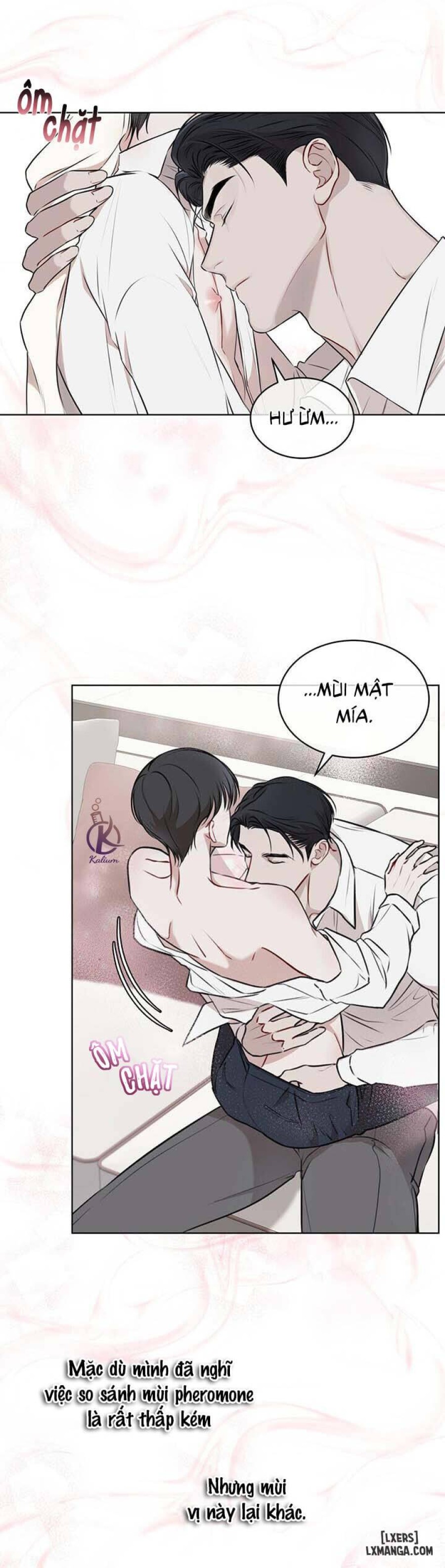 Hình thái khởi sinh 