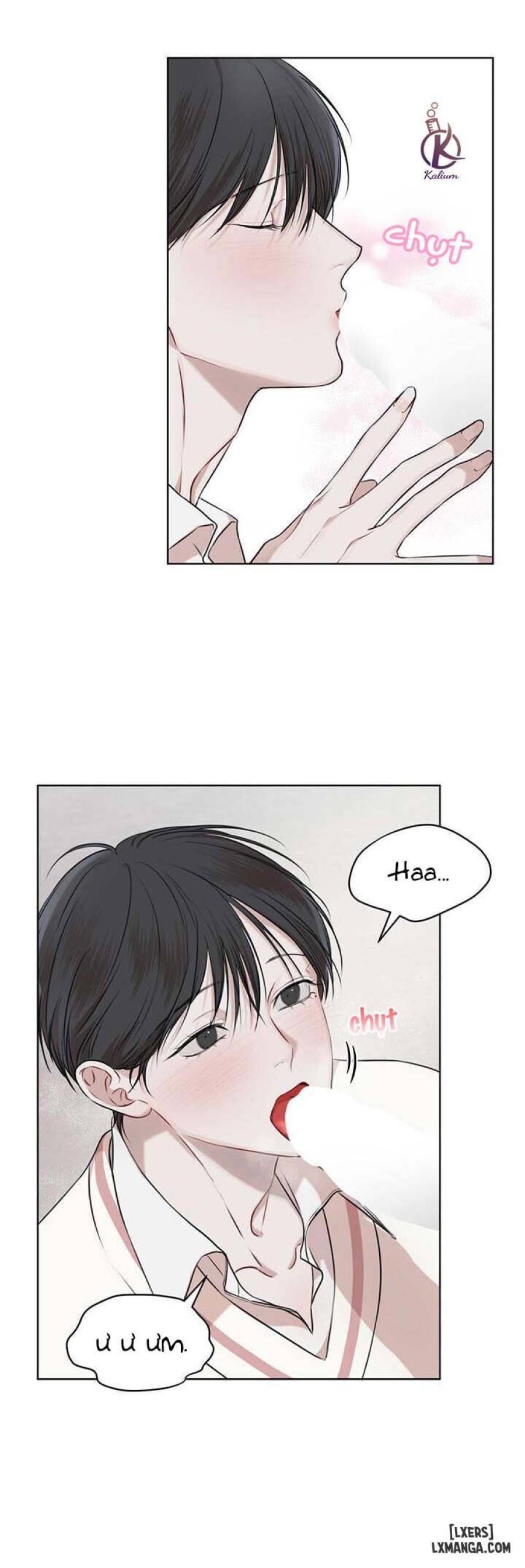 Hình thái khởi sinh 